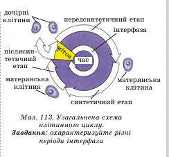 0900wzcl-2a4e-244x226.png