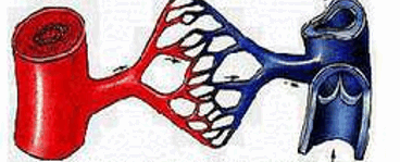 0900x0rr-110d-368x149.png