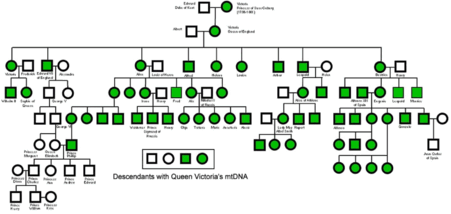 0900x2eq-9738-451x214.png