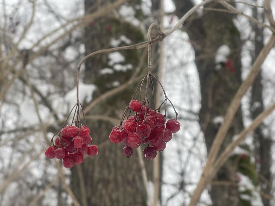 0900x3vq-c888-940x705.jpg