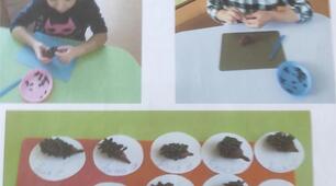 «ЇЖАЧОК – ВЕСЬ ІЗ ГОЛОЧОК» конспект інтегрованого заняття для дошкільнят старшого віку
