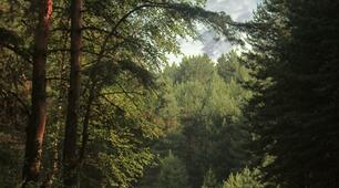  Урок на природі. Тембр. Нотна грамота.  Створення поспівки з вивчених нот.  Основні засоби виразності. Зображення лініями мелодії барабана.