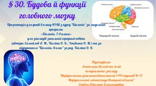§ 30. Будова й функції головного мозку