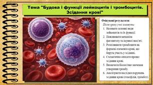 Будова і функції лейкоцитів і тромбоцитів. Зсідання крові. Біологія. 8 клас (НУШ). До підручника Балан П., Козленко О. та ін.