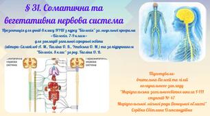§ 31. Соматична та вегетативна нервова система