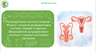 Презентація, конспект уроку та робочі аркуші на тему "Репродуктивна система людини. Жіноча і чоловіча репродуктивна система, будова та функції. Взаємозв’язок репродуктивної системи з іншими системами організму". 8 клас НУШ