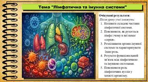 Лімфатична та імунна системи. Біологія. 8 клас (НУШ). До підручника Балан П., Козленко О. та ін.