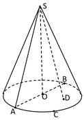 0900xbsb-16b5-123x175.jpg