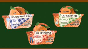 Іменник. Рід іменника: чоловічий, жіночий, середній