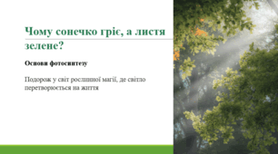 Чому сонечко гріє, а листя зелене?