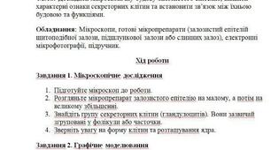 Лабораторна робота. Тема: Особливості будови клітин залозистого епітелію.