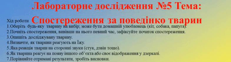 0900xhho-737f-785x211.png
