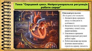Серцевий цикл. Нейрогуморальна регуляція роботи серця. Біологія. 8 клас (НУШ). До підручника Балан П., Козленко О. та ін.