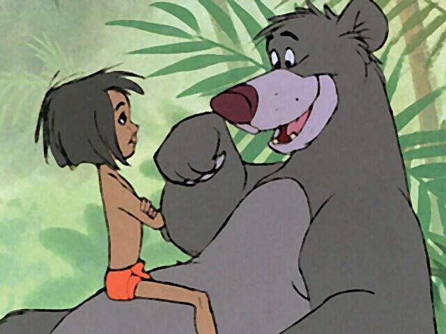 0900xm1c-5c8d-640x480.jpg