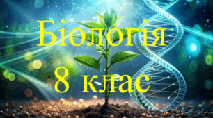 Кровоносні судини. Рух крові 