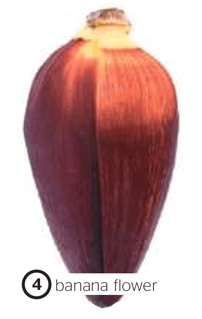 0900xnxi-2e12-403x636.png