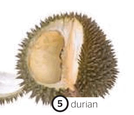 0900xnyp-9c85-461x396.png