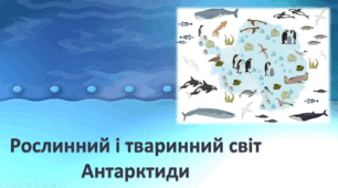 Рослинний і тваринний світ Антарктиди