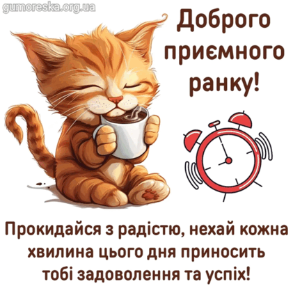 0900xou6-3452-421x421.png