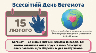 Презентація "15 лютого - Всесвітній день бегемота"
