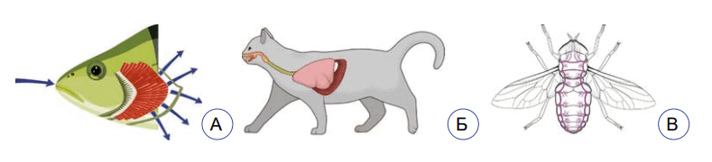 0900xqwf-4060-789x180.png