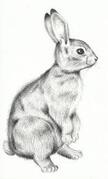 0900xrpk-bfe5-174x289.jpg
