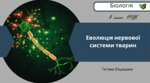 Еволюція нервової системи тварин. 8 клас. НУШ