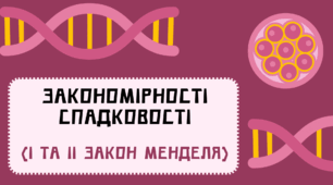 ЗАКОНОМІРНОСТІ СПАДКОВОСТІ 10 клас