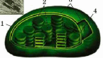 0900xwfc-f226-146x83.png