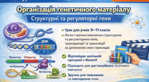 Відеоурок з біології: «Організація генетичного матеріалу. Структурні та регуляторні гени»