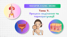 Тема 7. Процеси виділення та терморегуляції