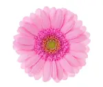 0900xygd-4650-150x126.webp