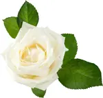 0900xygi-8024-150x143.webp