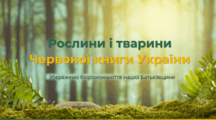 Презентація "Рослини і тварини Червоної книги України"