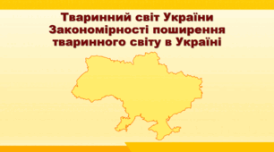 Презентація з географії 8 клас НУШ. "Тваринний світ України. Закономірності поширення тваринного світу в Україні" (за підручником Кобернік С. Г. та ін.)