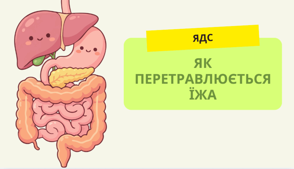 0900y2a0-8fca-940x540.png