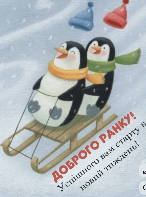 0900y32y-db31-506x681.png