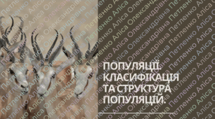 Презентація на тему "Популяції. Класифікація та структура популяцій"