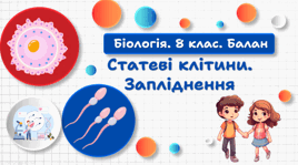 Статеві клітини. Запліднення. 8 клас НУШ