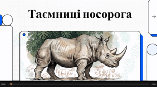Відеоогляд "Носороги"