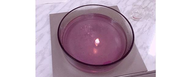 0900ycxx-857f-624x252.png