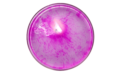 0900yd09-f46e-411x249.png
