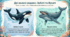 18 лютого - "Всесвітній день китів (World Whale Day)"
