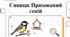 Відеоогляд "Синиці"