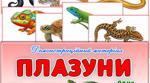 Демонстраційний матеріал "Плазуни"