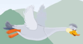 0900yf7o-736c-164x88.png