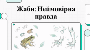 Відеоогляд "20 березня - Всесвітній день жаб (World Frog Day)"