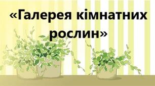 ЗВІТ на обласний конкурс – огляд внутрішнього озеленення навчальних закладів «Галерея кімнатних рослин»