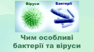 §22   Тема: Чим особливі бактерії і віруси.          
