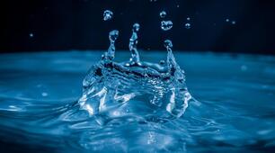 Самостійна робота "Повітря і вода, їх значення для живих організмів та людини" по підручнику Дар'ї Біди